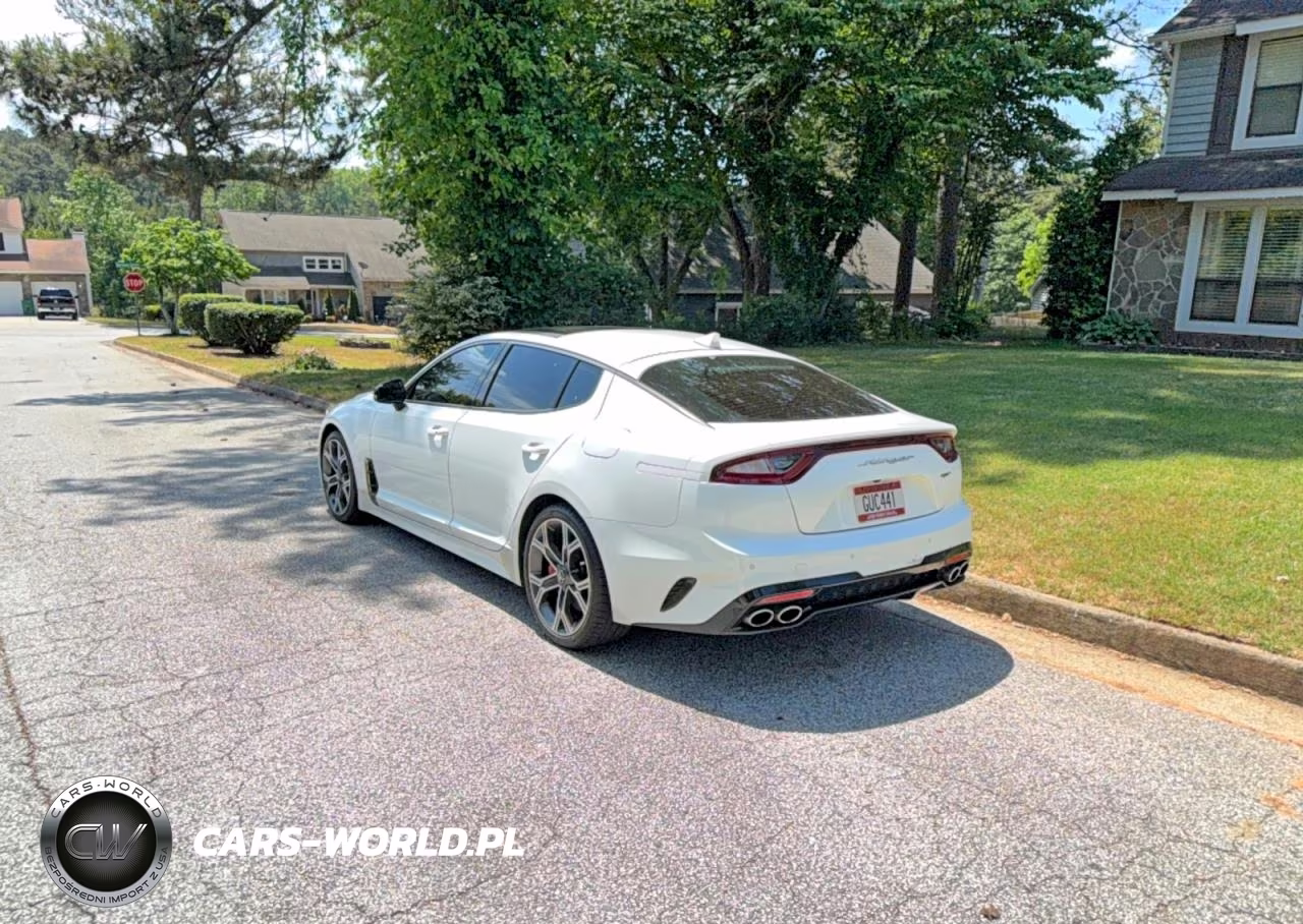 2019 Kia Stinger Gt1 VIN:KNAE45LCXK6061463 - 3