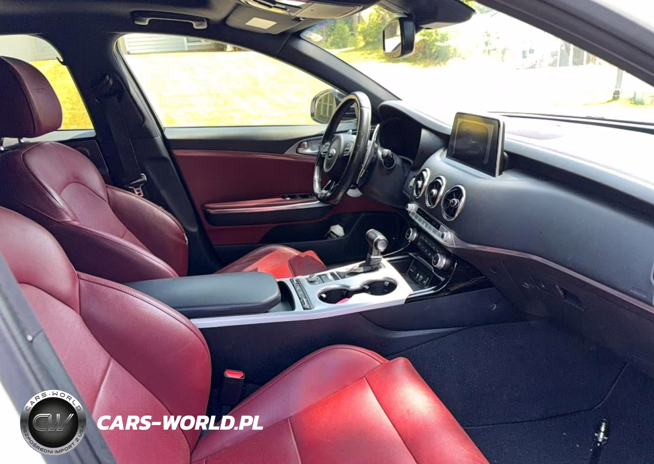 2019 Kia Stinger Gt1 VIN:KNAE45LCXK6061463 - 5