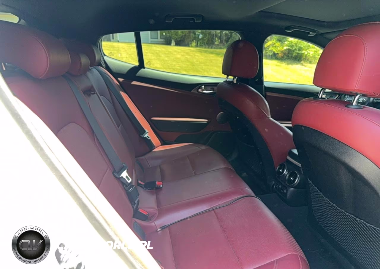 2019 Kia Stinger Gt1 VIN:KNAE45LCXK6061463 - 6