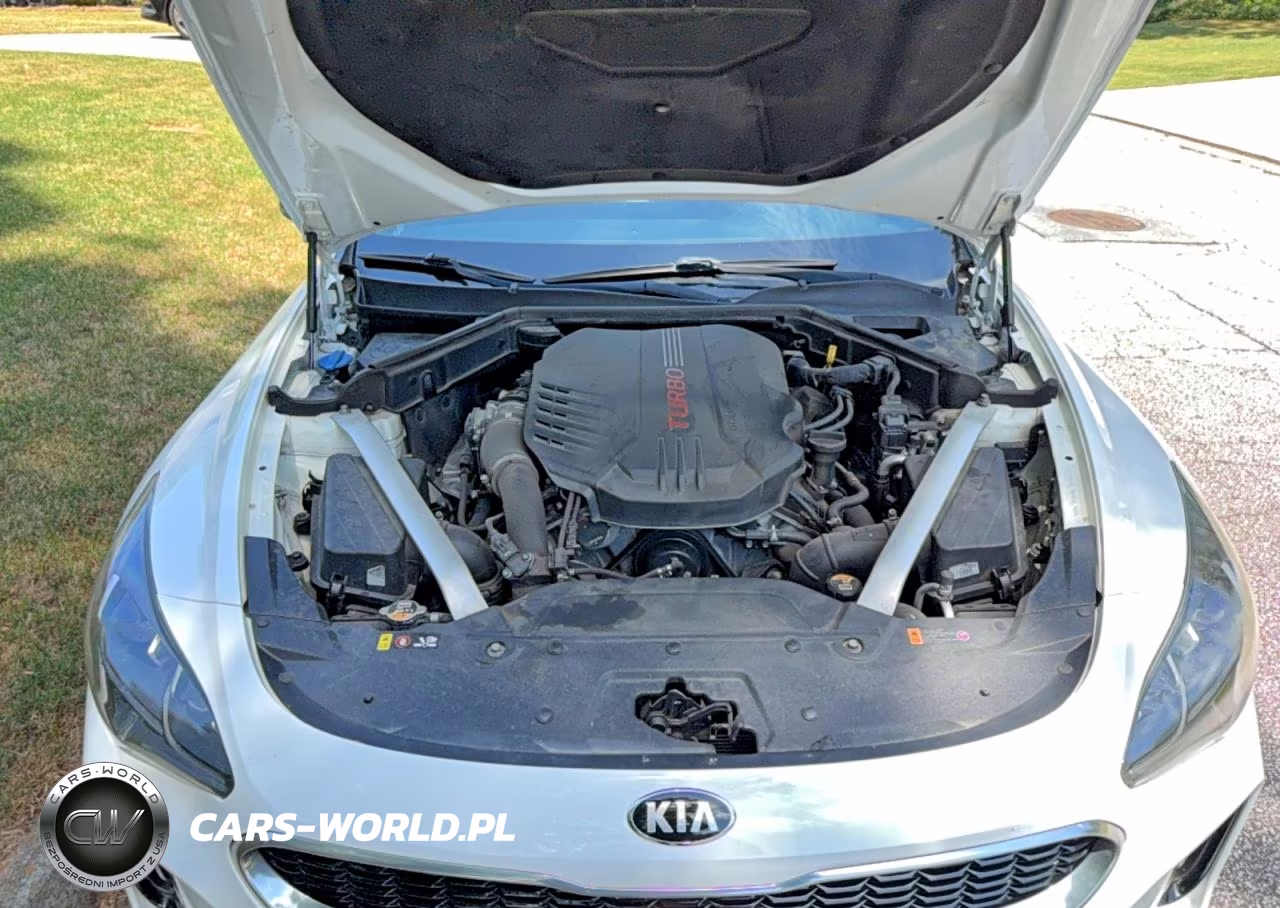 2019 Kia Stinger Gt1 VIN:KNAE45LCXK6061463 - 7