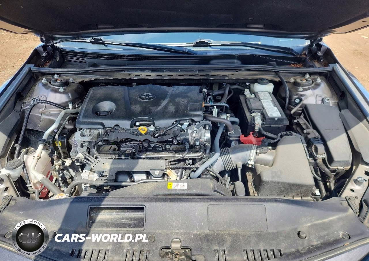 2021 Toyota Camry Le VIN:4T1C11AK2MU616051 - 11