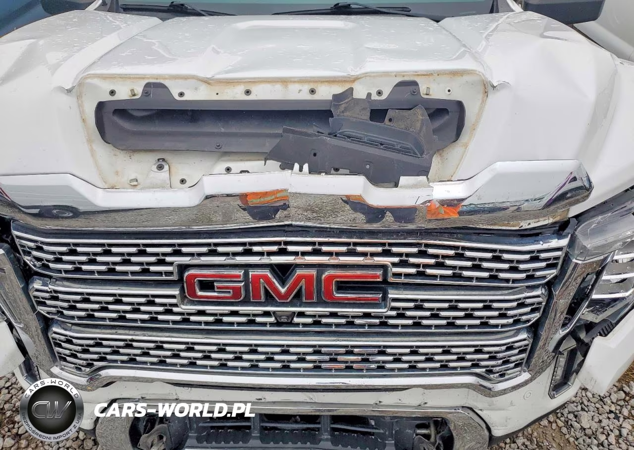 2020 GMC Sierra K3500 Denali VIN:1GT49WEY0LF270520 - 12
