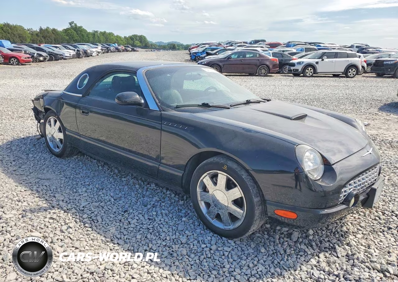 2002 Ford Thunderbird VIN:1FAHP60A62Y104898 - 4
