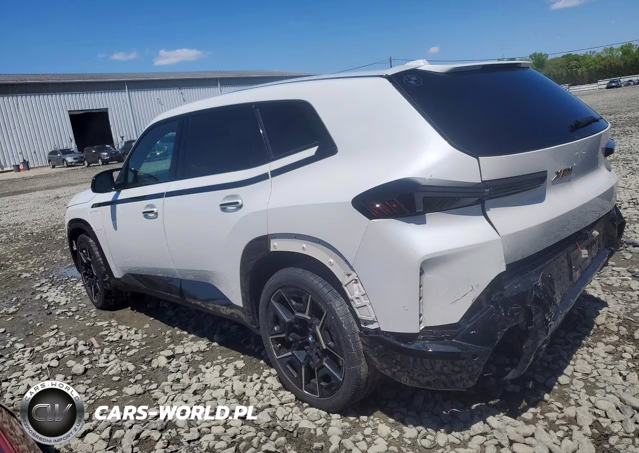 2023 BMW Xm VIN:5YM23CS01P9S52450 - 2