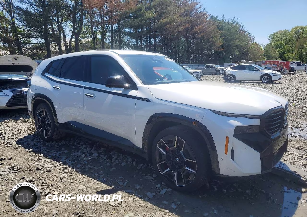 2023 BMW Xm VIN:5YM23CS01P9S52450 - 4