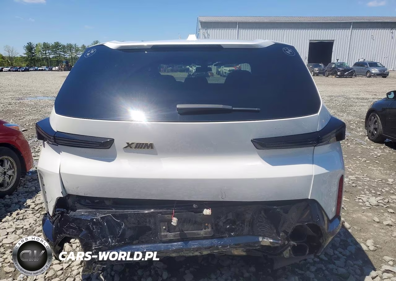 2023 BMW Xm VIN:5YM23CS01P9S52450 - 6