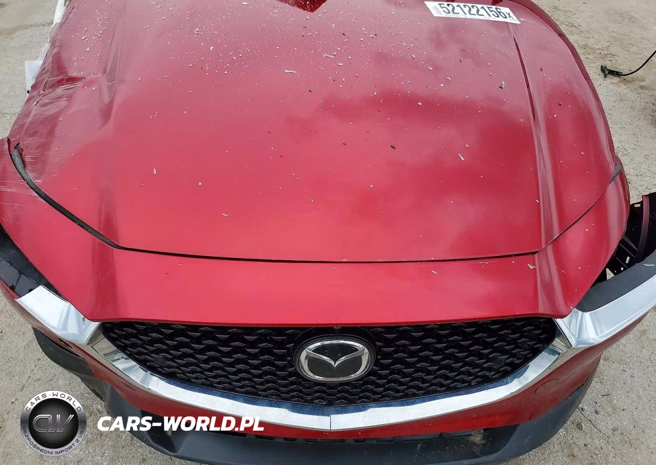 2022 Mazda Cx-30 Premium Plus VIN:3MVDMBEYXNM438771 - 12