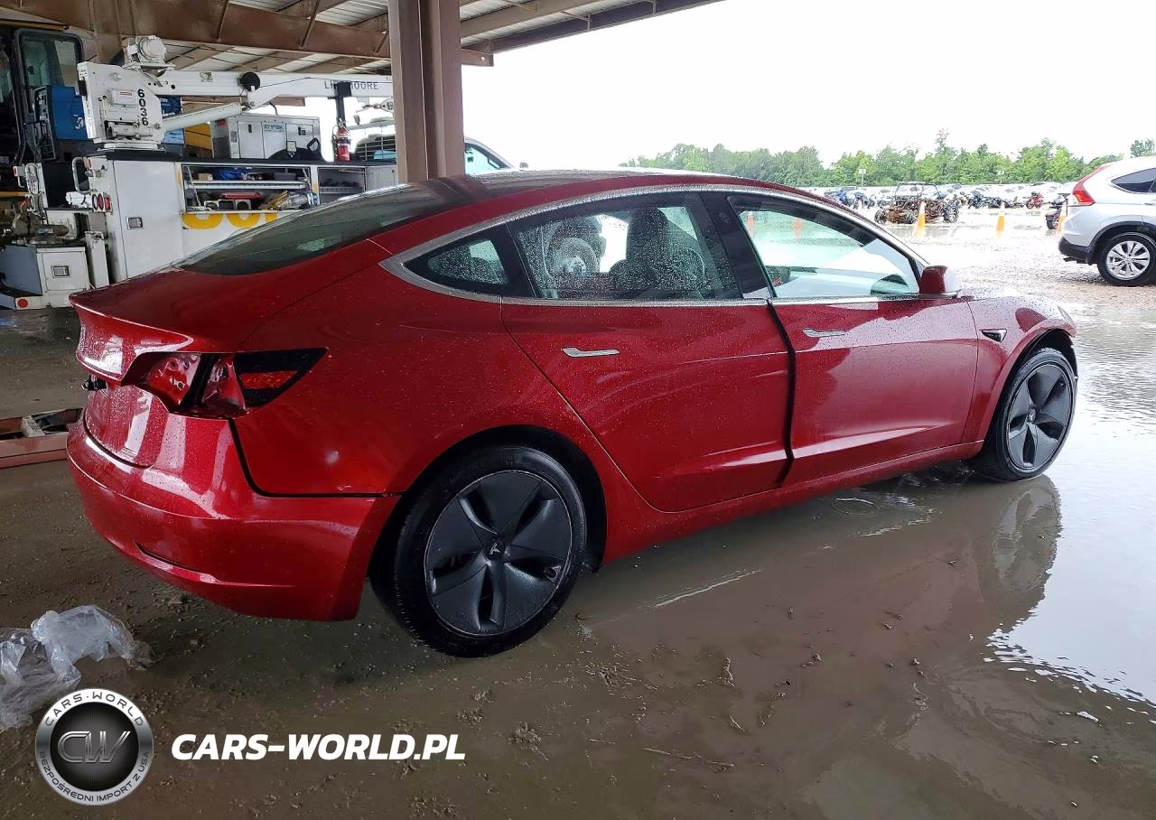 2019 Tesla Model 3 VIN:5YJ3E1EA0KF324320 - 3