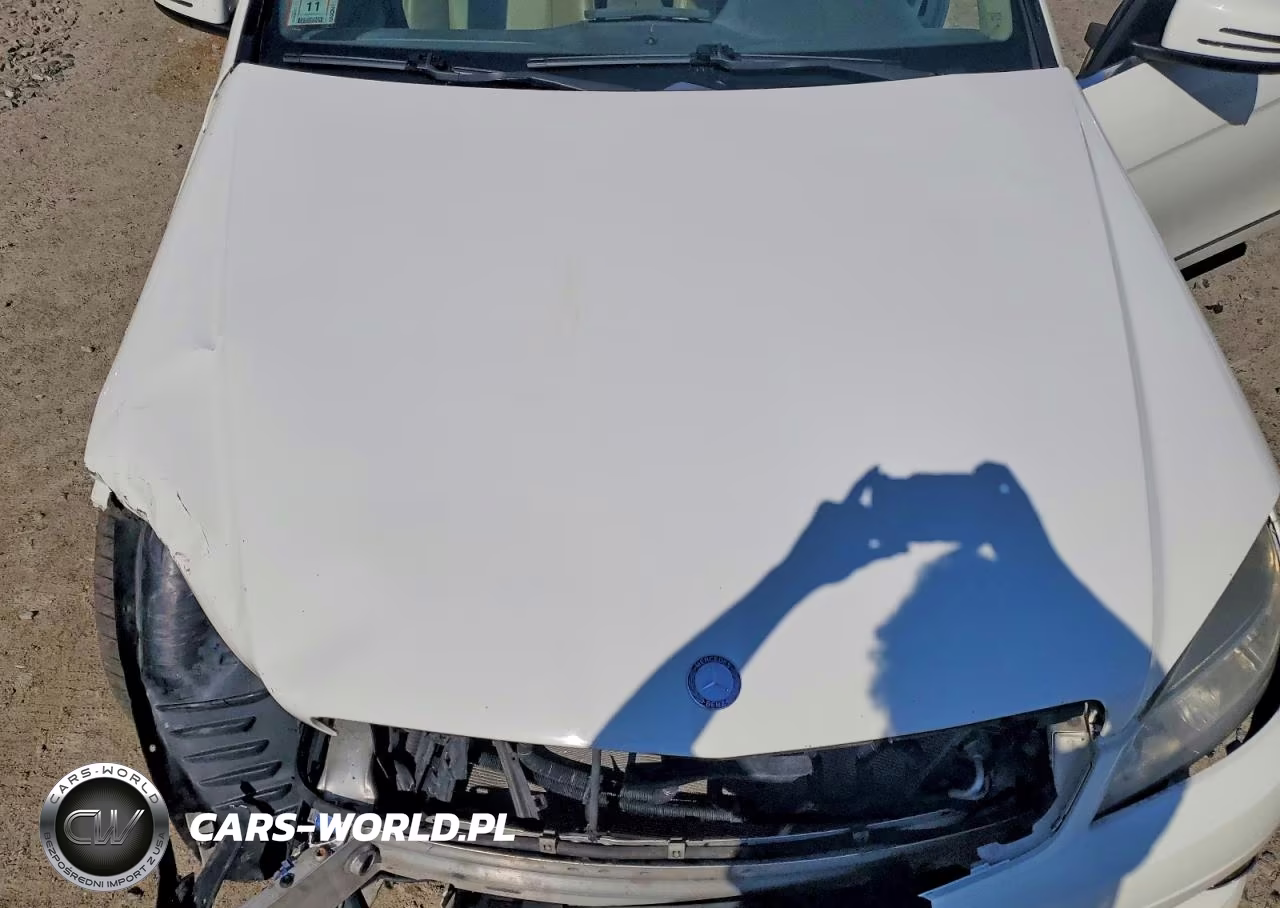 2010 Mercedes-Benz C 300 4Matic VIN:WDDGF8BB6AF490622 - 11