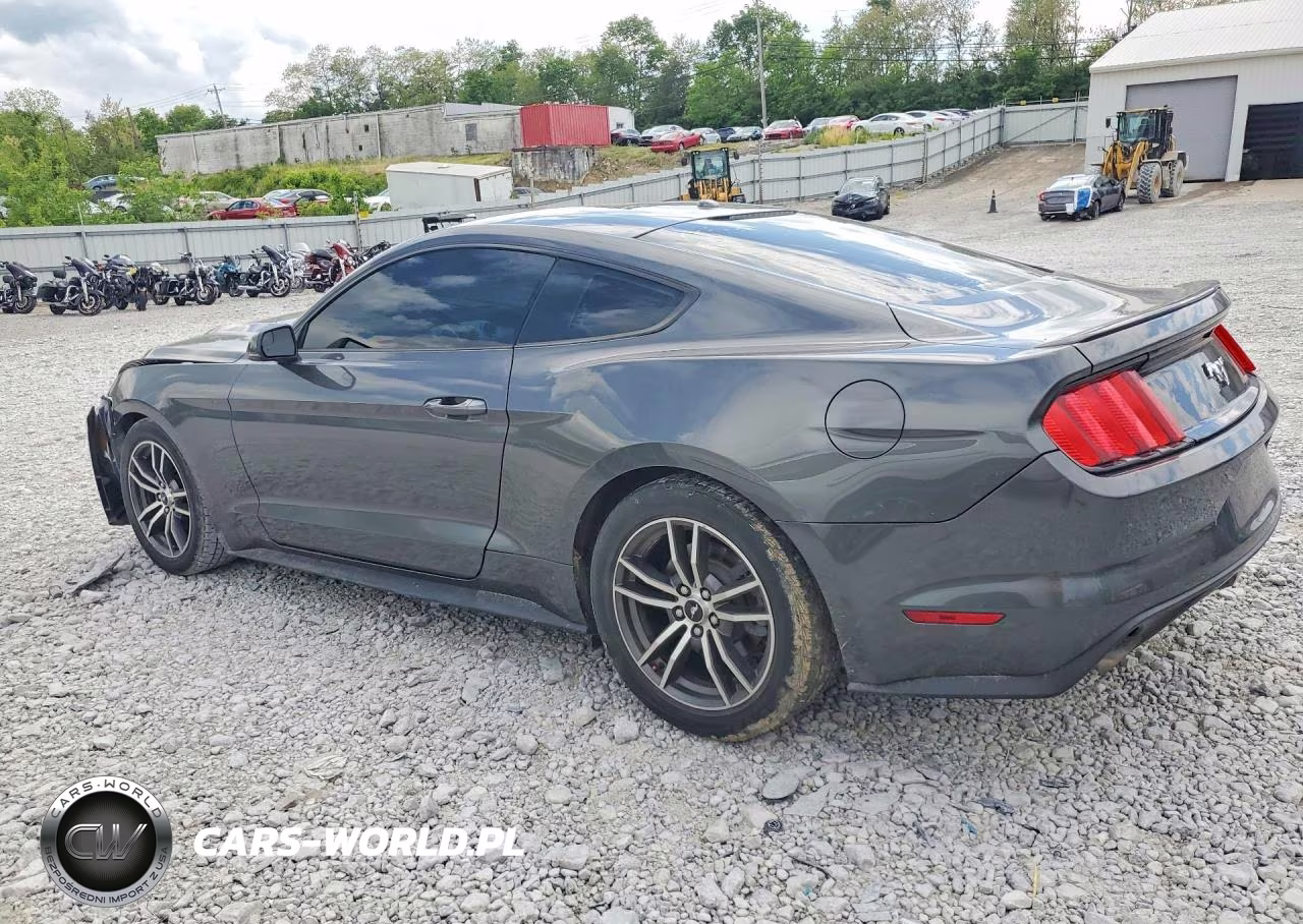 2017 Ford Mustang VIN:1FA6P8TH4H5295243 - 2
