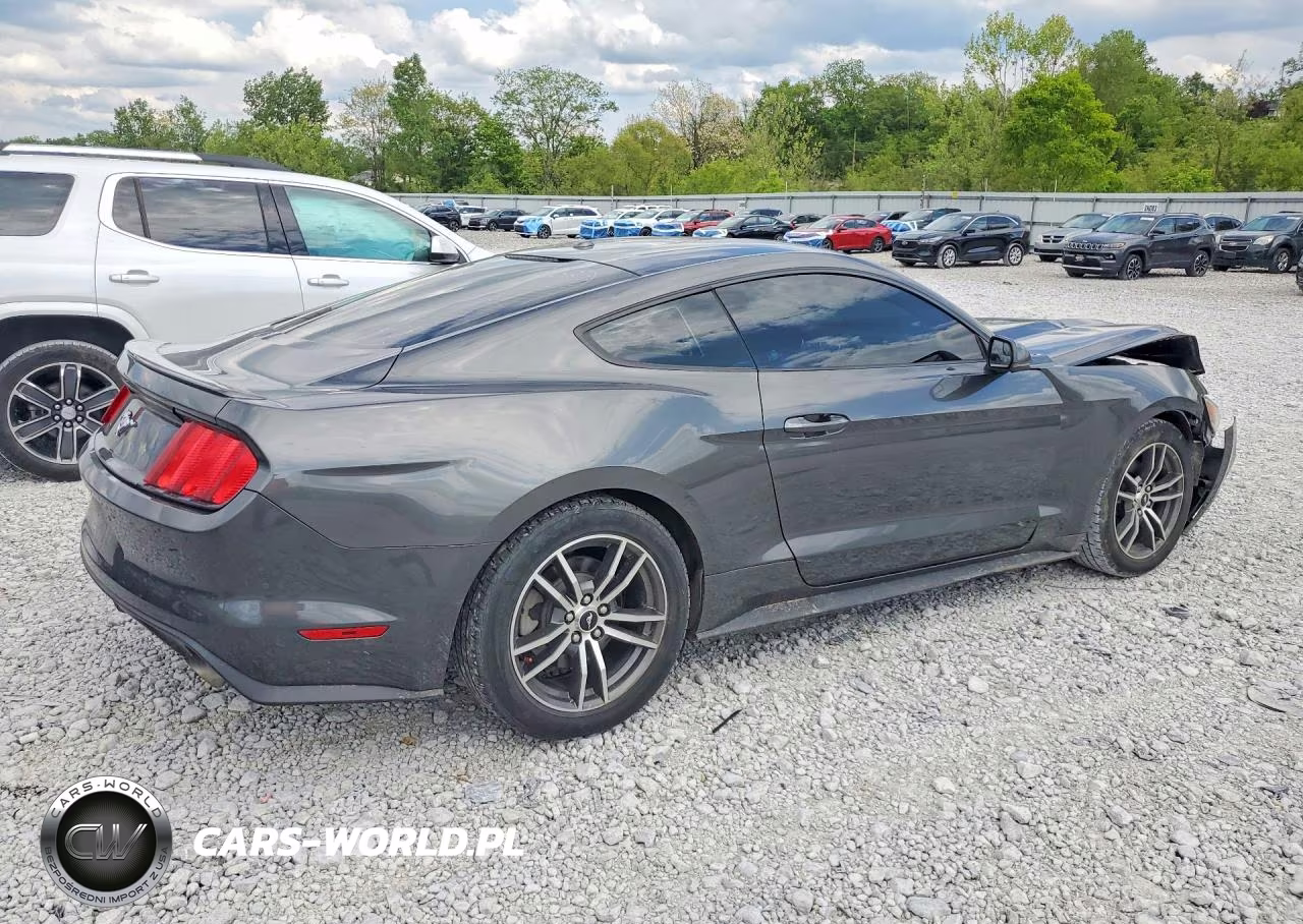2017 Ford Mustang VIN:1FA6P8TH4H5295243 - 3