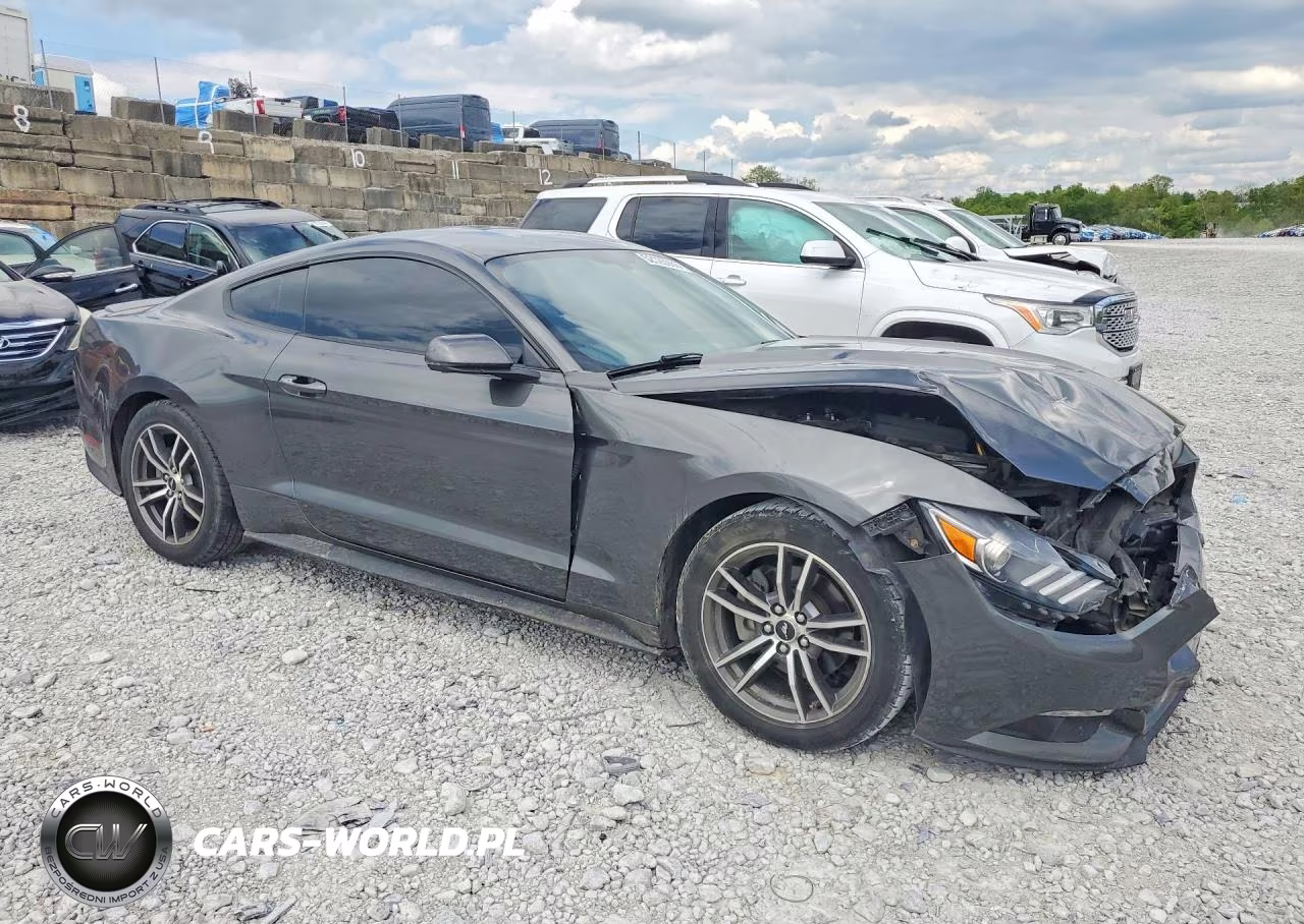 2017 Ford Mustang VIN:1FA6P8TH4H5295243 - 4
