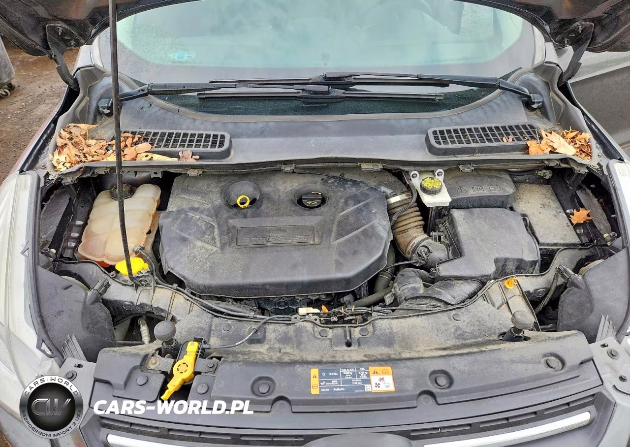 2016 Ford Escape Se VIN:1FMCU9G97GUA16415 - 12