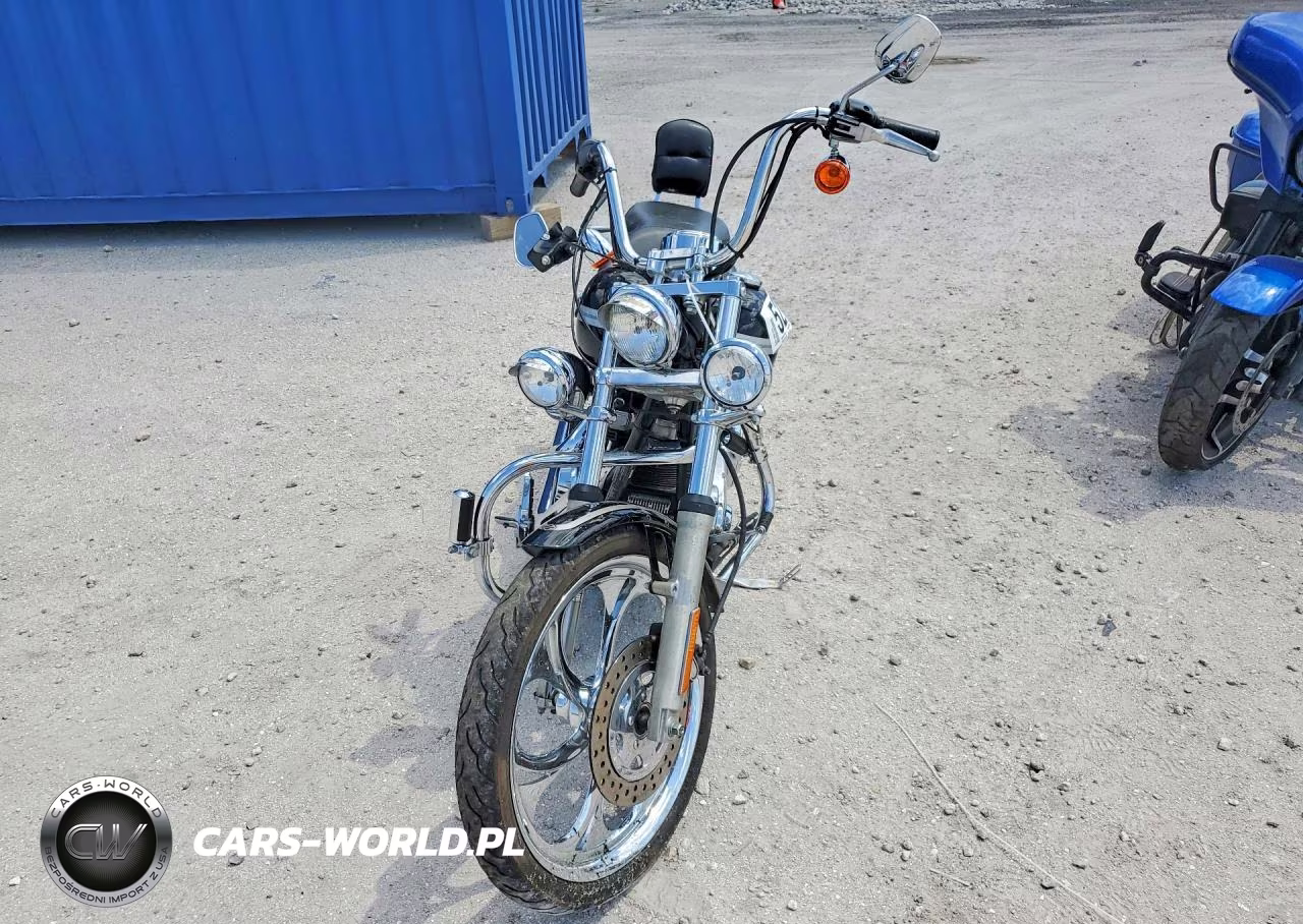 2003 Harley-Davidson Fxdwg VIN:1HD1GEV143K317897 - 2