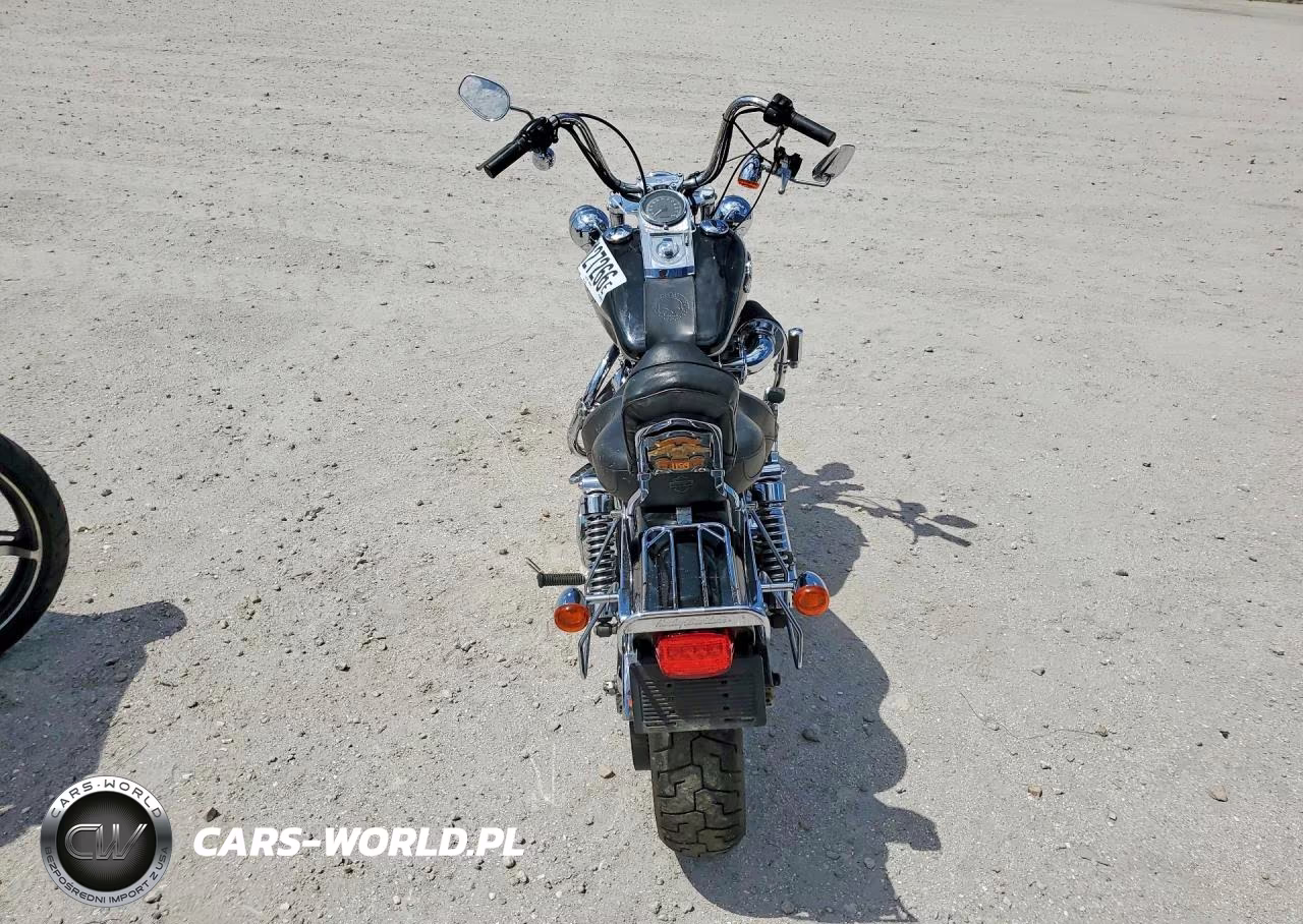 2003 Harley-Davidson Fxdwg VIN:1HD1GEV143K317897 - 4