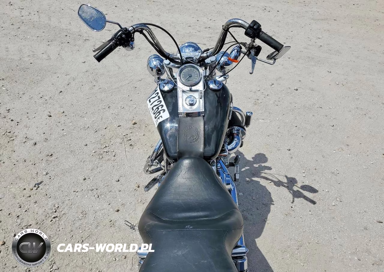 2003 Harley-Davidson Fxdwg VIN:1HD1GEV143K317897 - 6