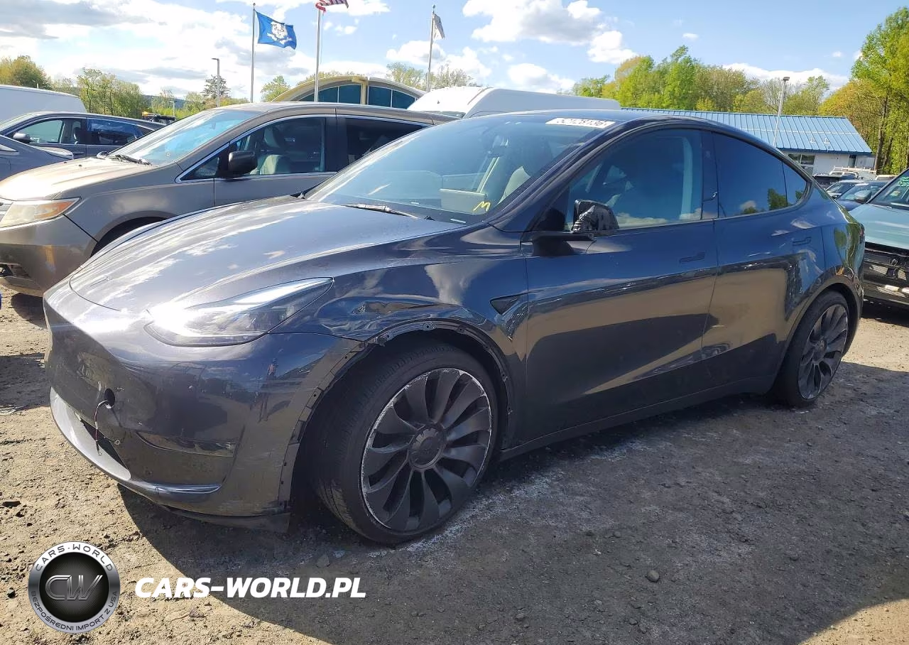 2025 Tesla Model Y