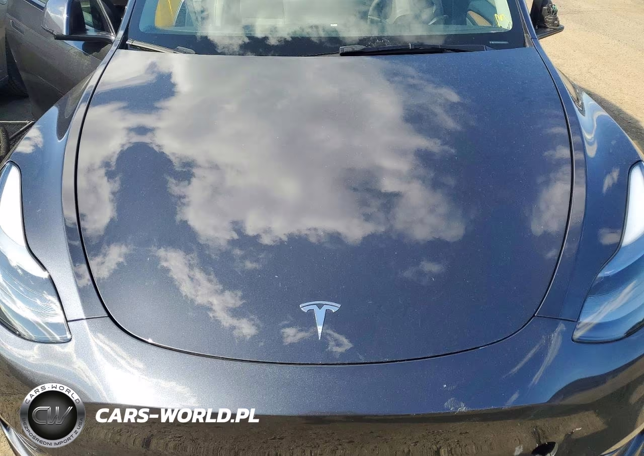2025 Tesla Model Y VIN:7SAYGDEF6SA369825 - 11