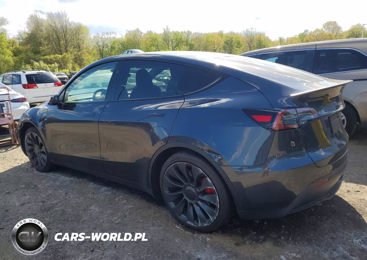 2025 Tesla Model Y VIN:7SAYGDEF6SA369825 - 2
