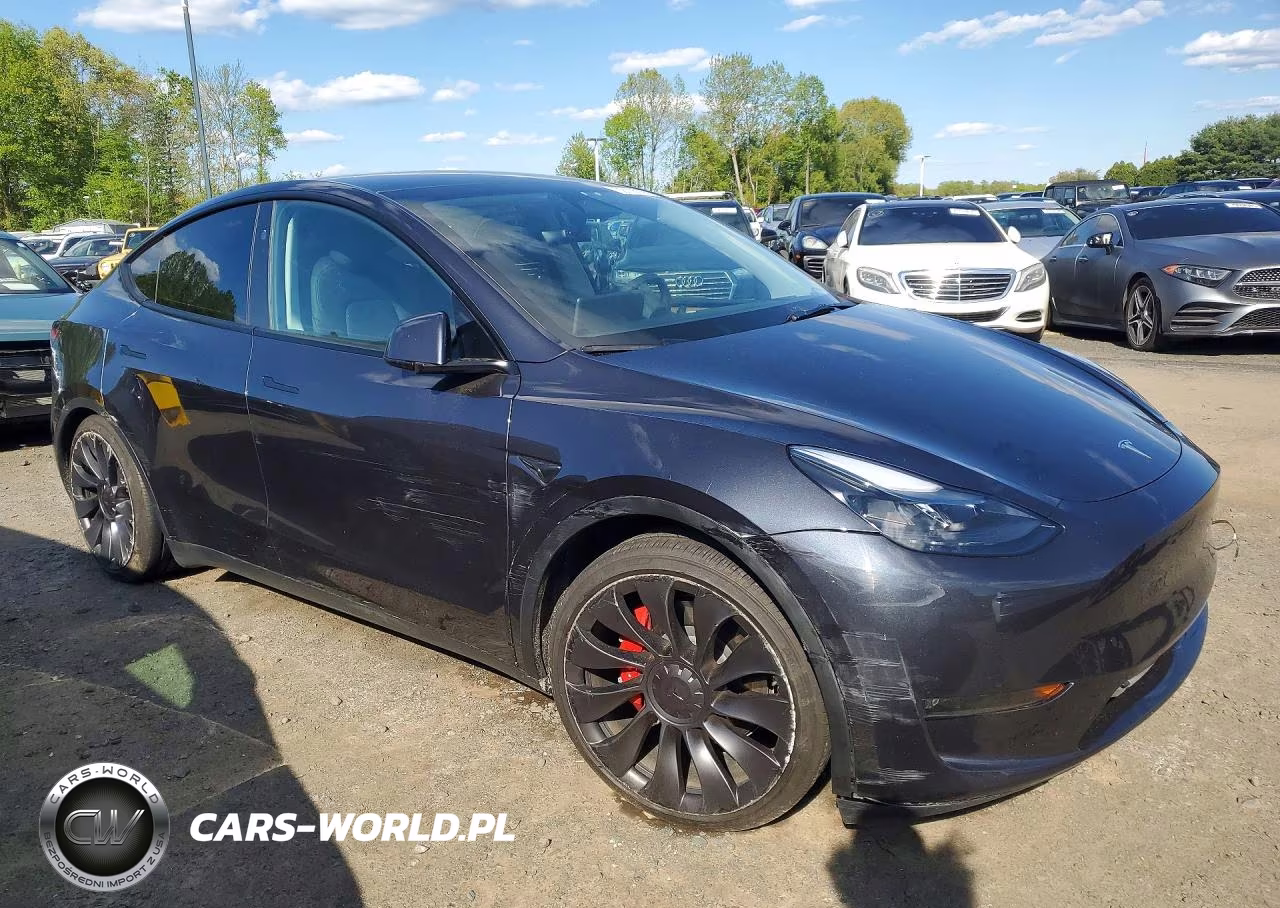 2025 Tesla Model Y VIN:7SAYGDEF6SA369825 - 4