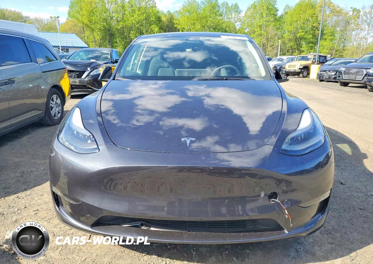 2025 Tesla Model Y VIN:7SAYGDEF6SA369825 - 5