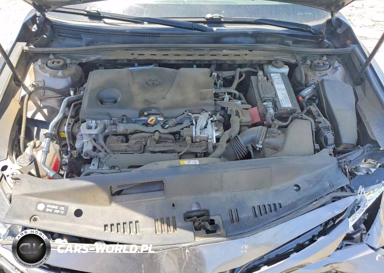 2019 Toyota Camry Le VIN:4T1B11HK2KU809542 - 11