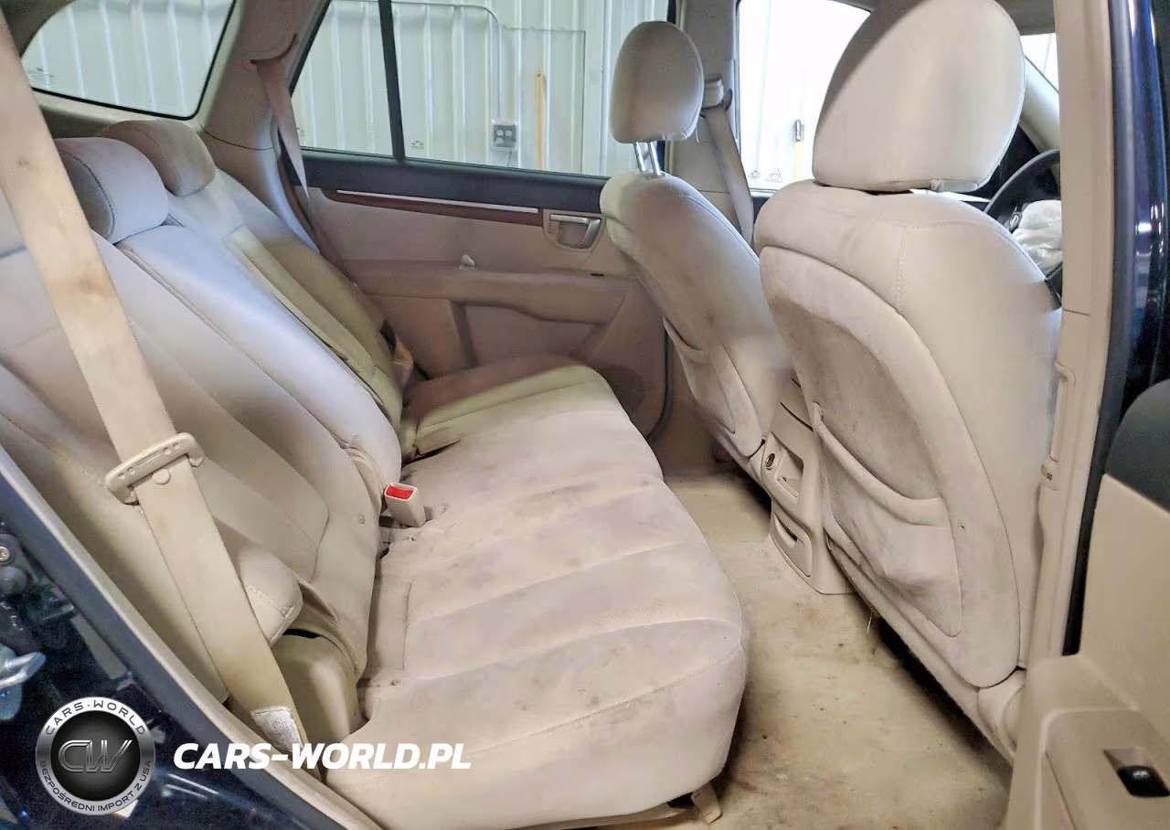 2009 Hyundai Santa Fe Gls VIN:5NMSG73D19H275952 - 11