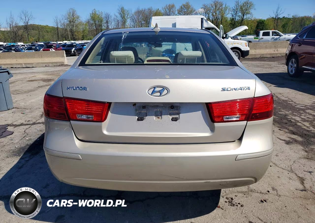 2010 Hyundai Sonata Gls VIN:5NPET4AC7AH615856 - 6