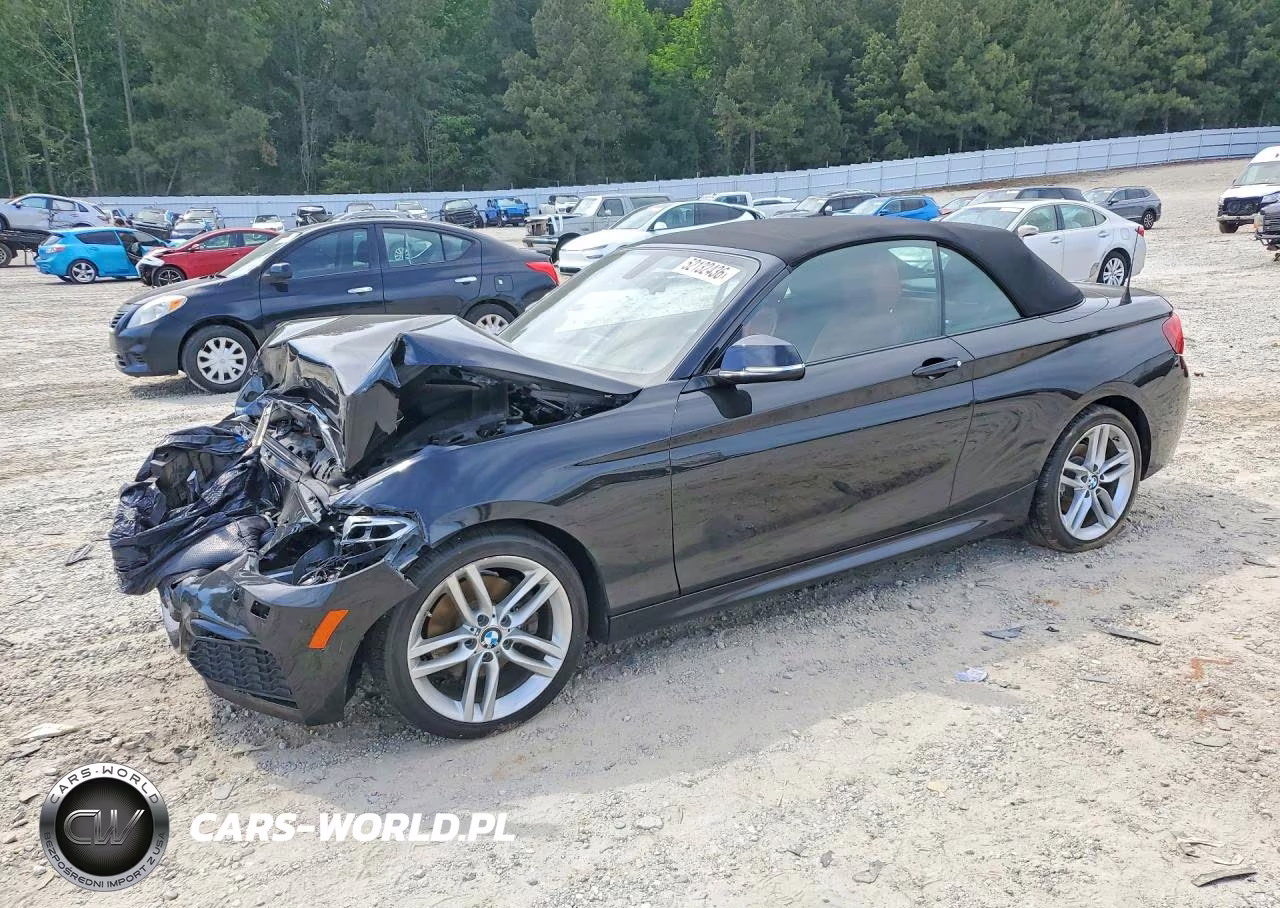 2016 BMW 228 Xi Sulev