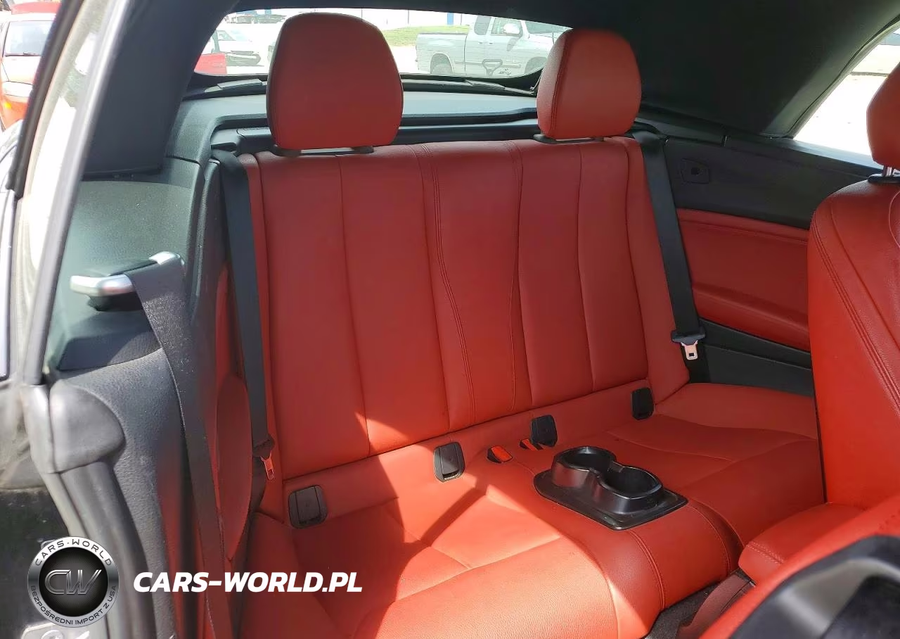 2016 BMW 228 Xi Sulev VIN:WBA1L9C56GV324314 - 10