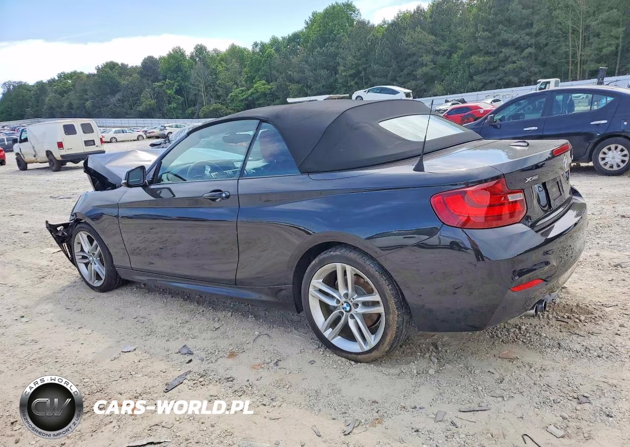 2016 BMW 228 Xi Sulev VIN:WBA1L9C56GV324314 - 2