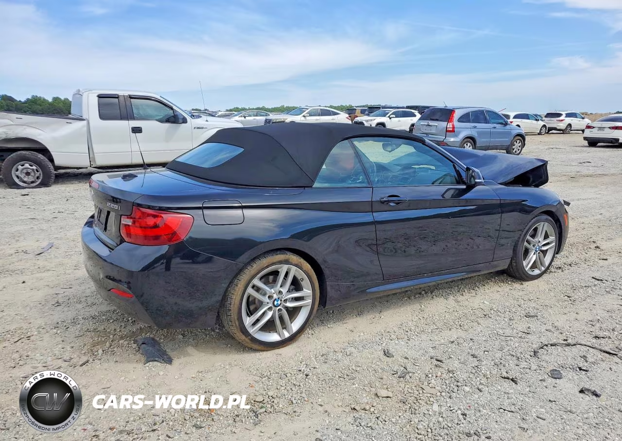 2016 BMW 228 Xi Sulev VIN:WBA1L9C56GV324314 - 3