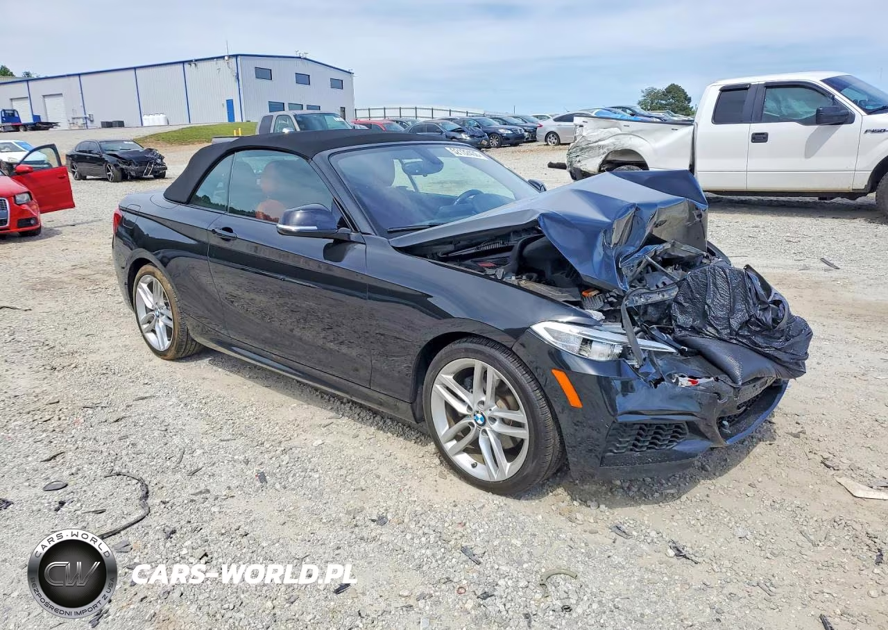 2016 BMW 228 Xi Sulev VIN:WBA1L9C56GV324314 - 4