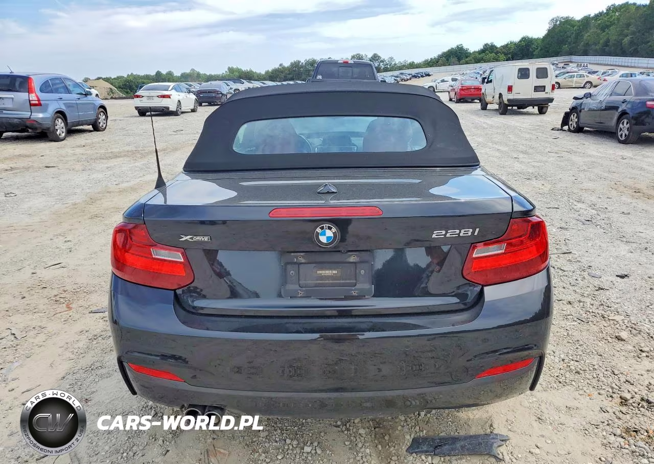 2016 BMW 228 Xi Sulev VIN:WBA1L9C56GV324314 - 6