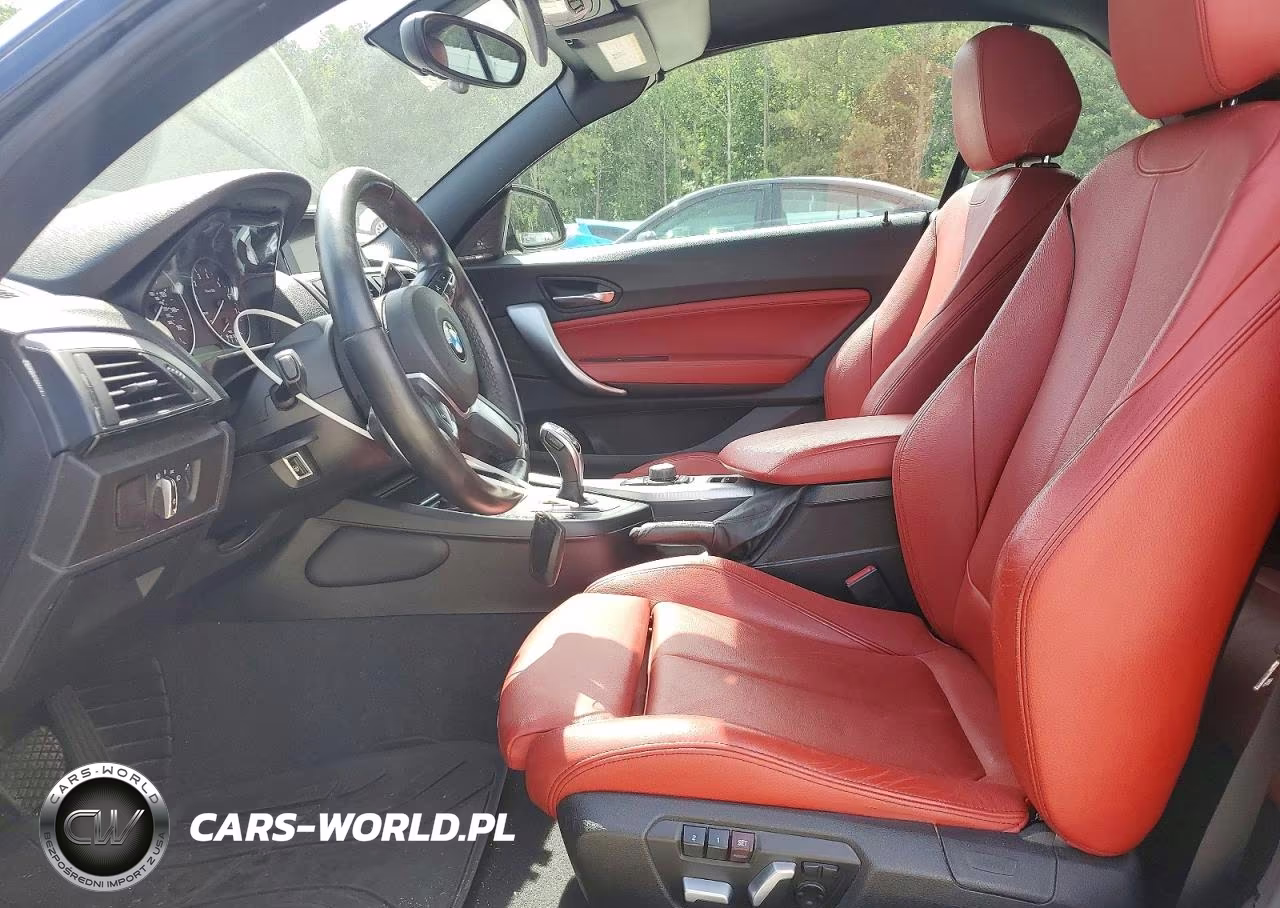2016 BMW 228 Xi Sulev VIN:WBA1L9C56GV324314 - 7
