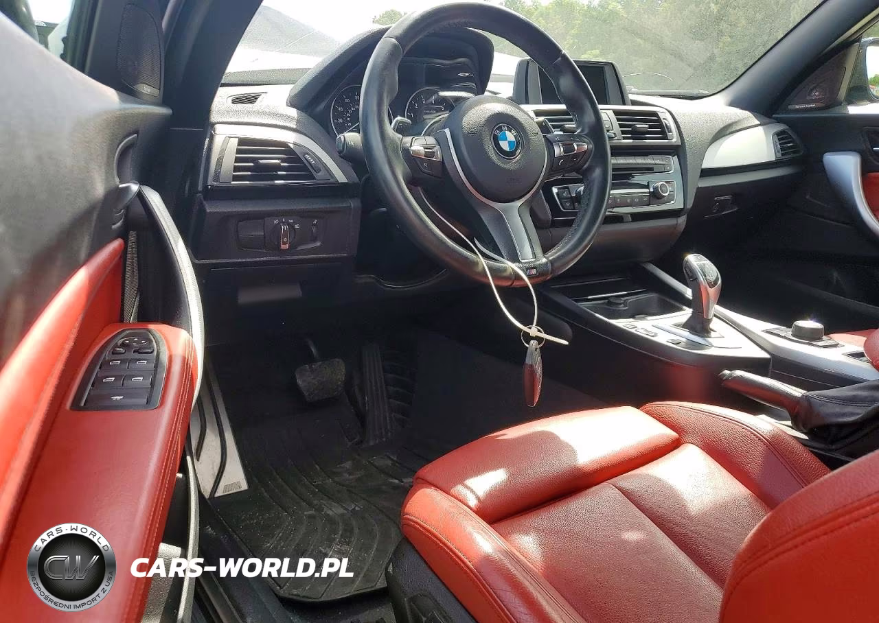 2016 BMW 228 Xi Sulev VIN:WBA1L9C56GV324314 - 8