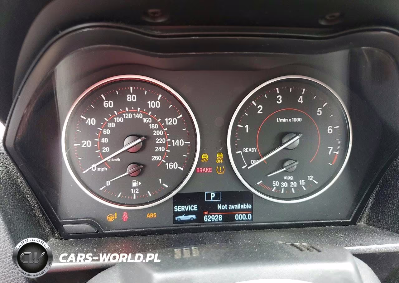 2016 BMW 228 Xi Sulev VIN:WBA1L9C56GV324314 - 9