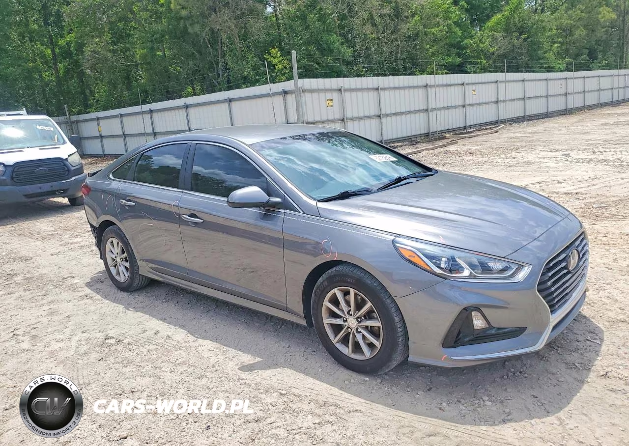2019 Hyundai Sonata Se VIN:5NPE24AF6KH821362 - 4