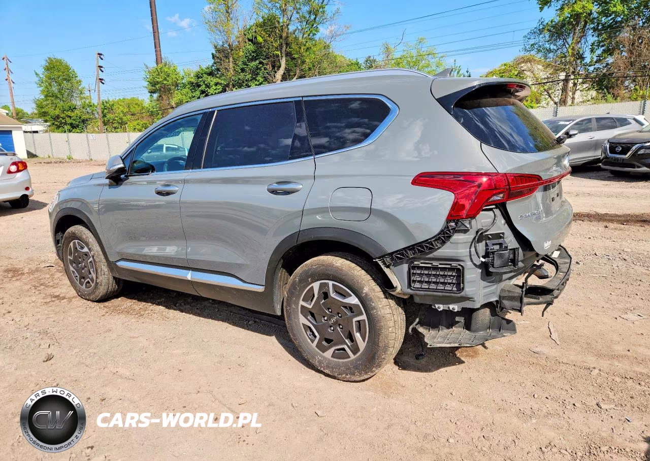 2023 Hyundai Santa Fe Blue VIN:5NMS2DA14PH018254 - 2