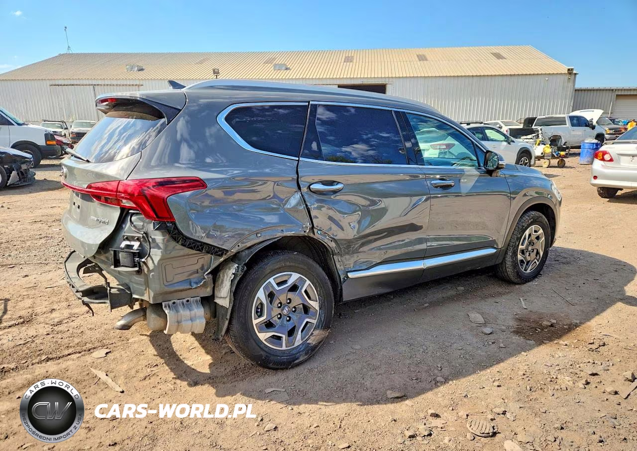 2023 Hyundai Santa Fe Blue VIN:5NMS2DA14PH018254 - 3