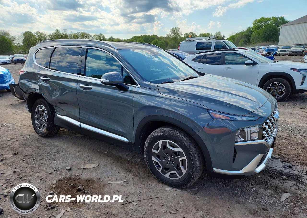 2023 Hyundai Santa Fe Blue VIN:5NMS2DA14PH018254 - 4