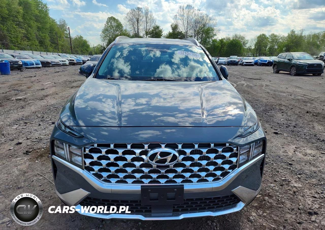 2023 Hyundai Santa Fe Blue VIN:5NMS2DA14PH018254 - 5
