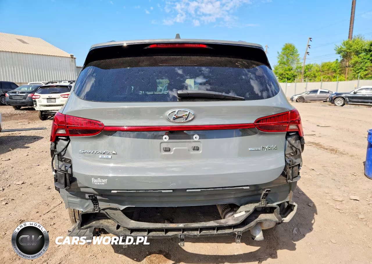 2023 Hyundai Santa Fe Blue VIN:5NMS2DA14PH018254 - 6