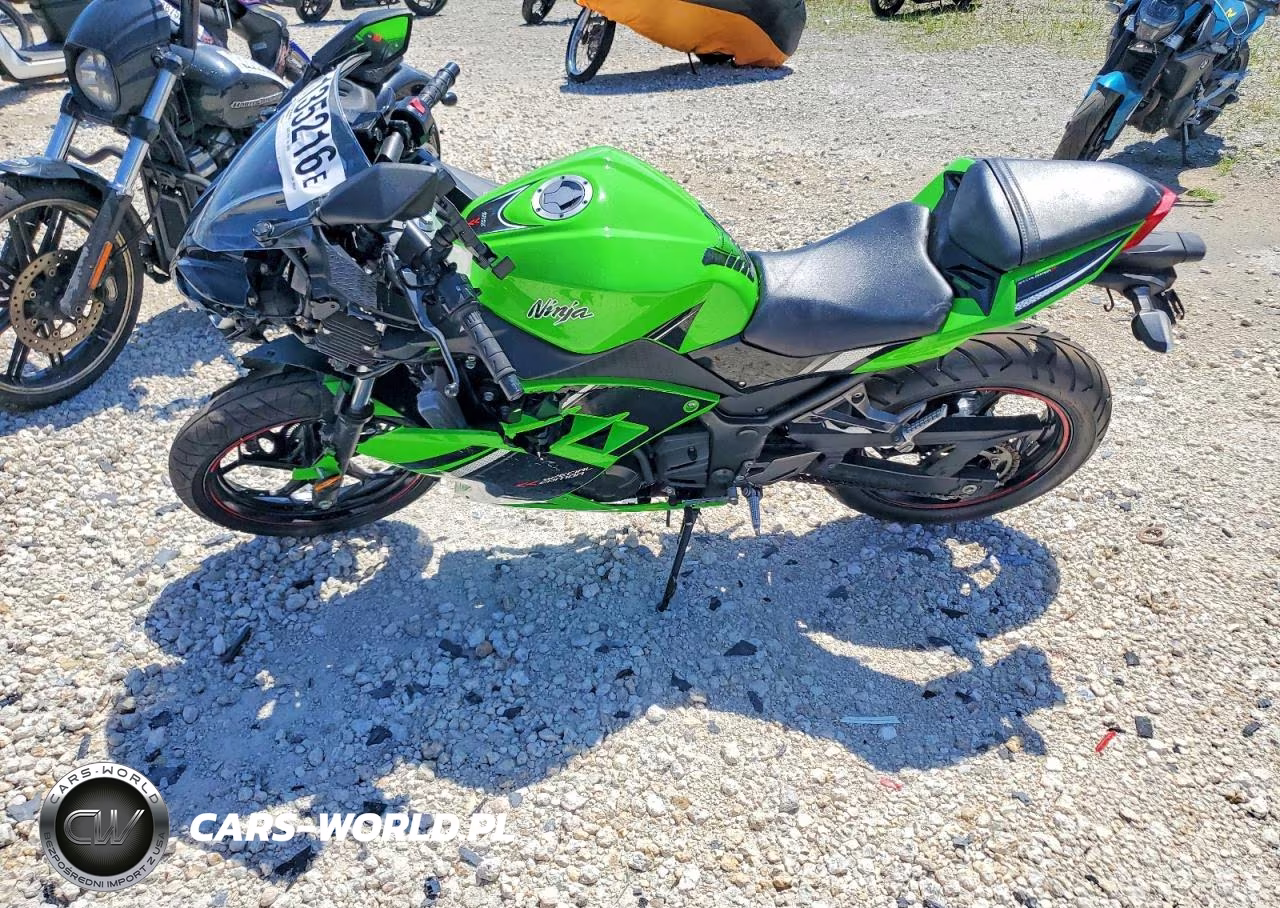 2014 Kawasaki Ex300 B VIN:JKAEX8B19EA009247 - 3