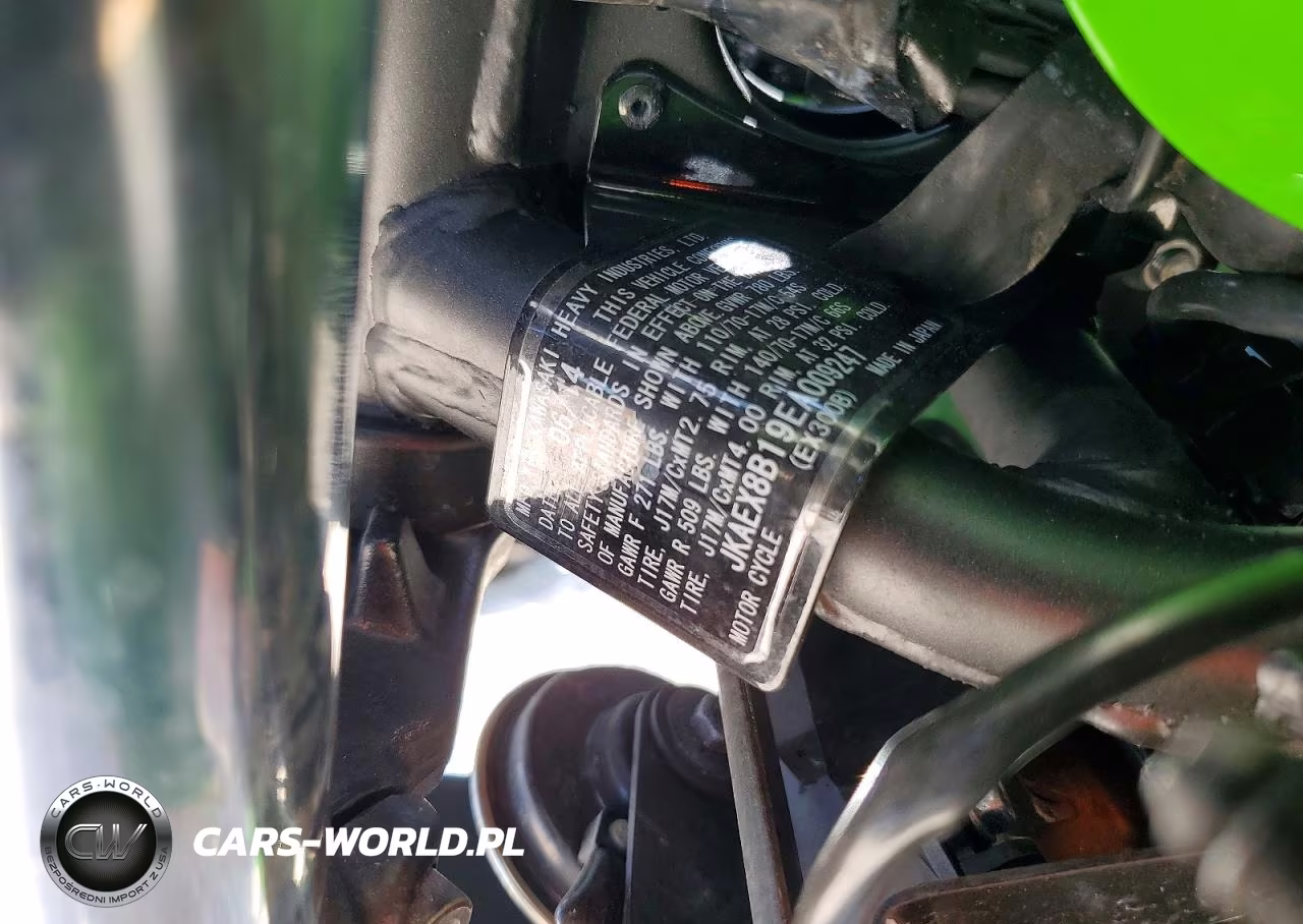 2014 Kawasaki Ex300 B VIN:JKAEX8B19EA009247 - 9