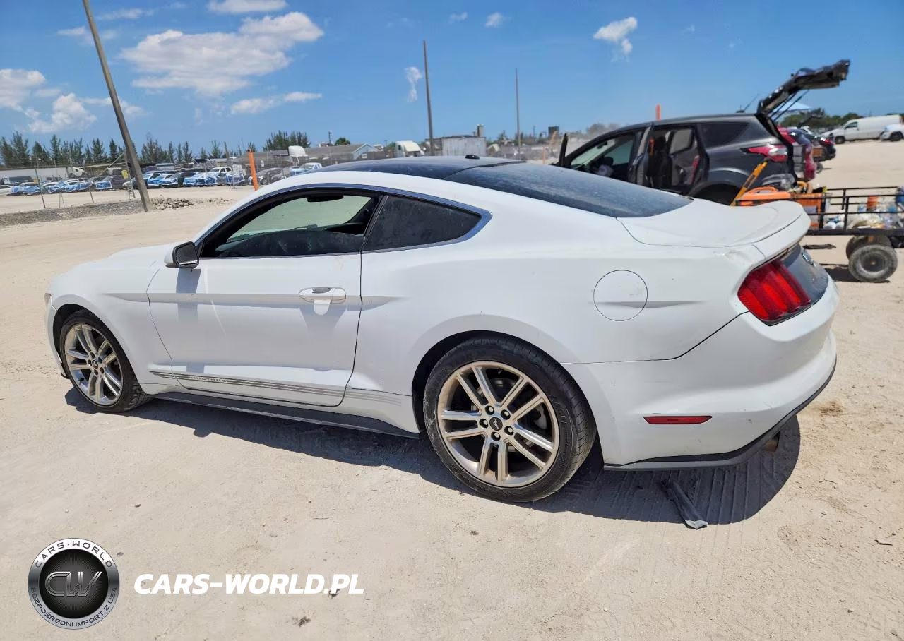 2017 Ford Mustang VIN:1FA6P8TH8H5270720 - 2