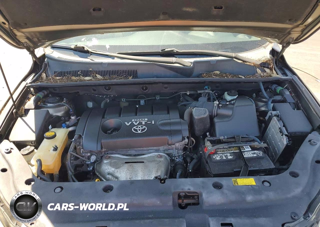 2010 Toyota Rav4 Base VIN:2T3ZF4DV8AW031724 - 12