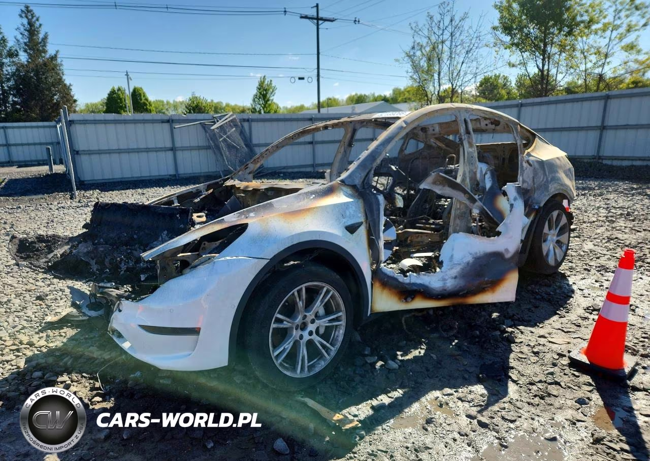 2020 Tesla Model Y