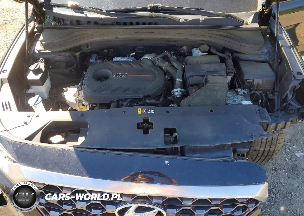 2020 Hyundai Santa Fe Sel 2.0T VIN:5NMS3CAA5LH277918 - 12