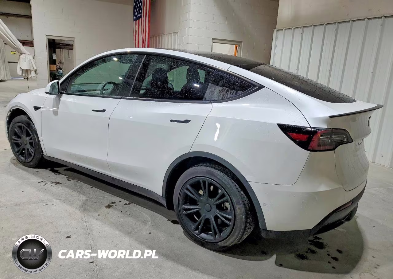 2020 Tesla Model Y VIN:5YJYGDEF6LF017295 - 2